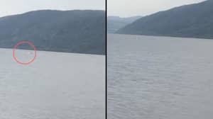 “奇怪的东西看着东西”在Loch Ness拍摄游泳游客