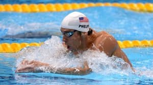 Michael Phelps将参加一个伟大的白鲨
