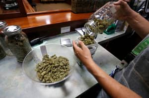NHS首次测试大麻产品