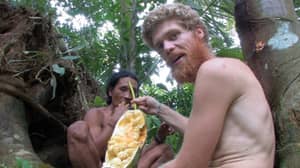 纪录片纽特多巴跟随男人在印度尼西亚与部落一起生活
