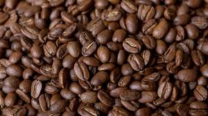 澳大利亚的研究人员宣称咖啡喝得太多是有原因的