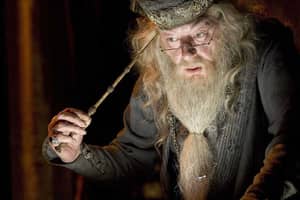 新的“哈利波特”粉丝理论改变了关于老年魔杖的一切