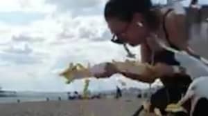 Woman Screams And Runs As Flock Of Seagulls Dive-Bomb Her Chips