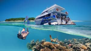 水下酒店正在大堡礁开业