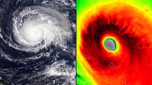 史上最强飓风是如此强大，以至于地震设备都能记录下来