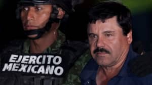 El Chapo的逃生隧道暴露在海洋人体摄像机中