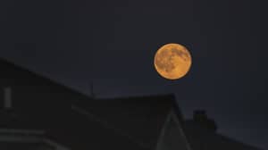 罕见的收获月亮将于星期五13晚出现