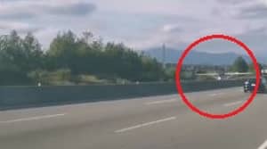 飞机降落在高峰时段的高速公路上，驾驶员被吓呆了