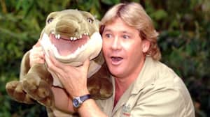 史蒂夫·欧文·戴（Steve Irwin Day）：宾迪·欧文（Bindi Irwin）向已故父亲致敬