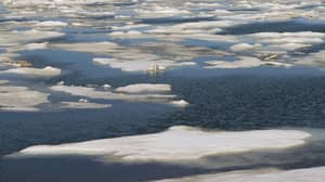 北极海冰在记录上下降到第二级最低水平