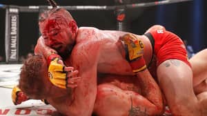 由于帆布上的血液量，MMA战斗叫出