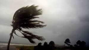 佛罗里达警方呼吁民众不要向飓风“厄玛”开枪