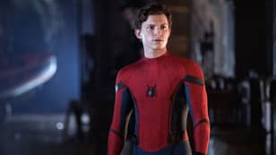 汤姆·荷兰（Tom Holland）投票给最佳蜘蛛侠