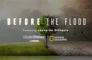 观看：我们直播了莱昂纳多·迪卡普里奥（Leonardo DiCaprio）的“洪水之前”