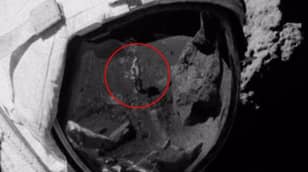 特写照片分析“暗示” NASA的阿波罗17任务是伪造的