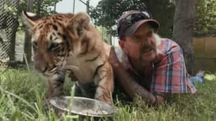 Netflix上的Tiger King的新剧集让观众失望