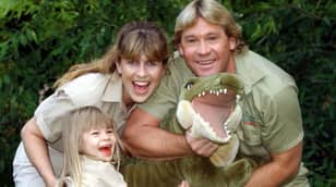 宾迪·欧文（Bindi Irwin）发推文的情感视频已故爸爸史蒂夫·欧文