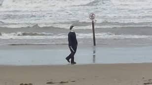 男子被警察手铐，因为在暴风雨中漫游海滩时，迈克尔·迈尔斯（Michael Myers）穿着海滩