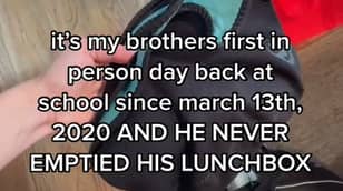 姐姐发现兄弟自2020年3月以来就没有清空学校的午餐盒
