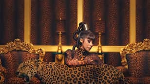 Carole Baskin Slams Use Of Big Cats In Cardi B WAP Music Video