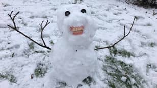 妈妈在孩子们使用曾祖母的假牙建造令人毛骨悚然的雪人