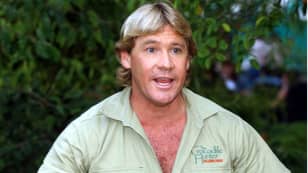 镜头揭示了动物史蒂夫·欧文（Steve Irwin）拒绝吵架的动物