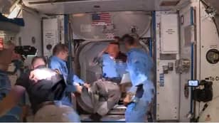 宇航员道格·赫利·邦斯（Doug Hurley Bangs）进入国际空间站