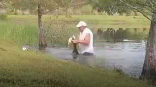 鳄鱼抓住他的狗后，男人跳入水中