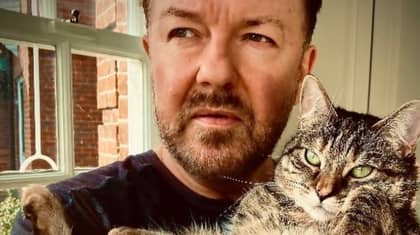 Ricky Gervais请愿书停止动物测试几乎达到了100K签名