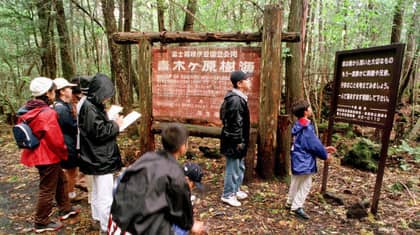 日本试图防止洛根·保罗（Logan Paul）拍摄的“自杀林”中的死亡