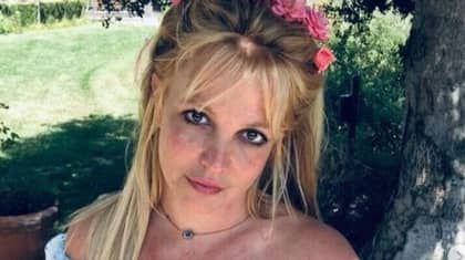布兰妮·斯皮尔斯（Britney Spears）说，她的父母应该因保护措施入狱