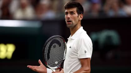 律师解释了为什么他认为诺瓦克·德约科维奇（Novak Djokovic）将赢得对澳大利亚的上诉案