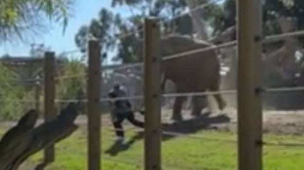 一男子携带两岁女儿进入动物园大象围场被捕