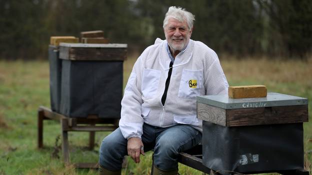 养蜂人告诉1500万蜜蜂，他下令可能因英国退欧而被杀死