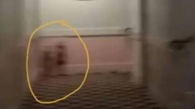 英国鬼魂猎人称在“最闹鬼的酒店”发现“闪闪发光的双胞胎”