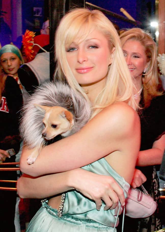 希尔顿与她的狗小叮当于2005年。信贷：PA“width=