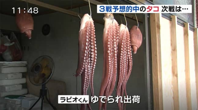 社交媒体上的报道说，这就是Rabiot现在的样子。图片来源：YouTube/北海道北海道UHB