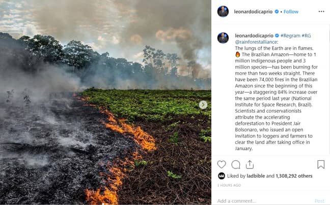 莱昂纳多·迪卡普里奥（Leonardo DiCaprio）分享了雨林联盟（Rainforest Alliance）的一篇关于毁灭性亚马逊野火的帖子。学分：Instagram/Leonardo DiCaprio