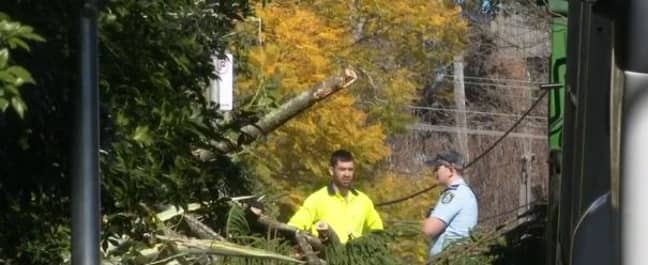 警察封锁了该地区。信用：七个新闻必威杯足球