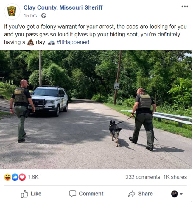 这个怪异的故事发表在该部队的Facebook页面上。学分：克莱县警长部门。