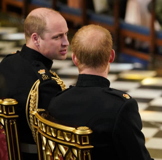 威廉王子和哈里王子。信用：PA