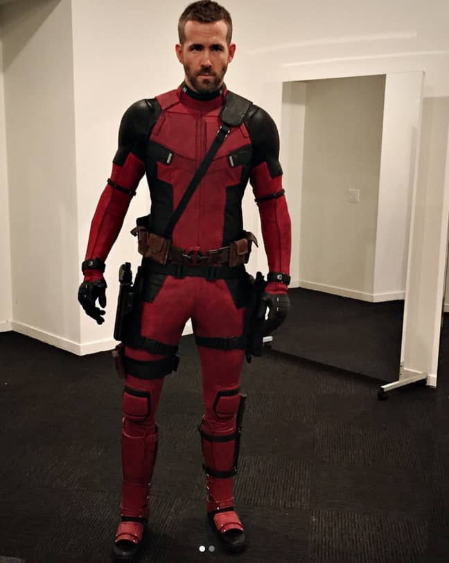 学分：Instagram/Vancityreynolds