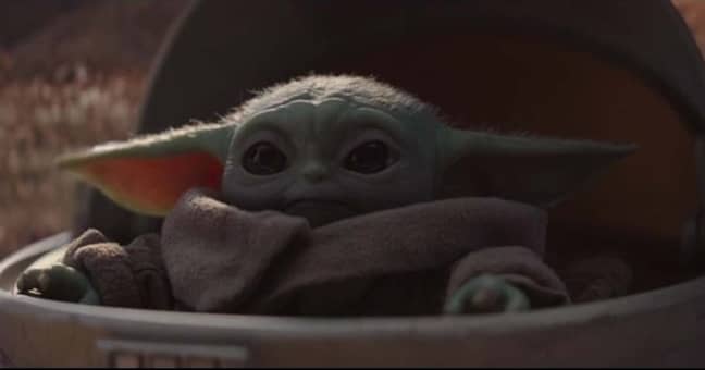 Yoda一直在融化心。图片来源：迪士尼