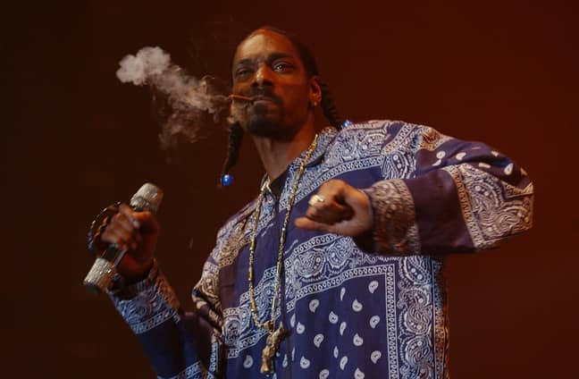 史努比（Snoop）将杂草合法化为美国总统的首要任务。学分：PA“width=