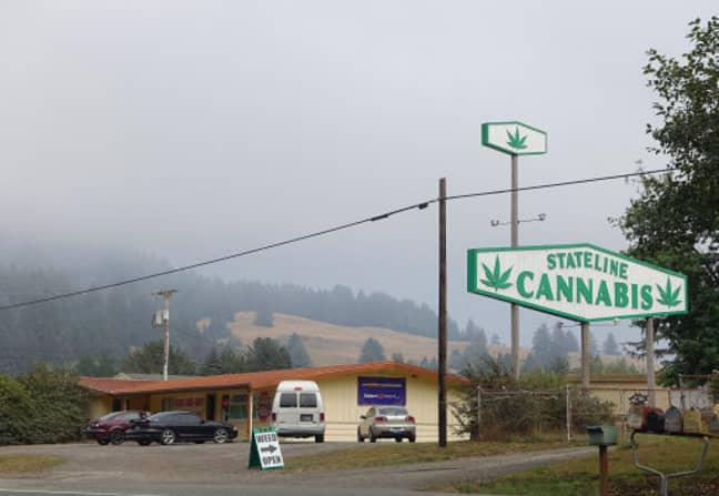 一个标语，说“统计大麻”可以在俄勒冈州和加利福尼亚州州边界的布鲁金斯附近的101号高速公路上看到。学分：PA“width=