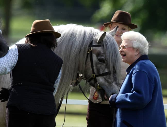 女王著名地爱她的马，您可以帮助照顾他们。信用：PA
