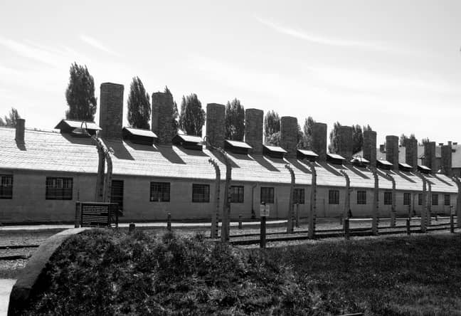 奥斯威辛集中营，由池塘提供