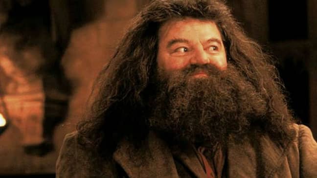 罗比·科尔特兰（Robbie Coltrane）饰演哈利·波特（Harry Potter）电影中的海格（Hagrid）。信用：华纳兄弟