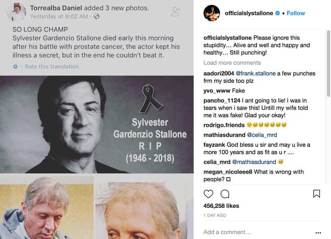 学分：Instagram/Sylvester Stallone