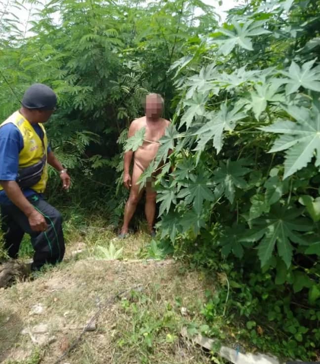 这位68岁的老人在灌木丛中被发现。信用：病毒式压力